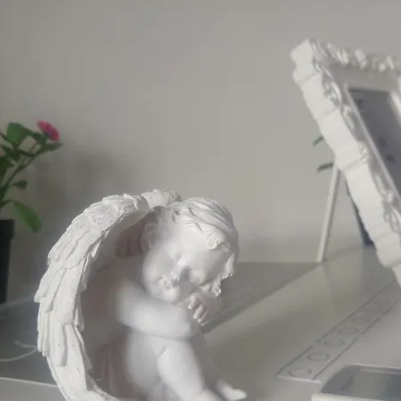 Gæstehus New Life *
