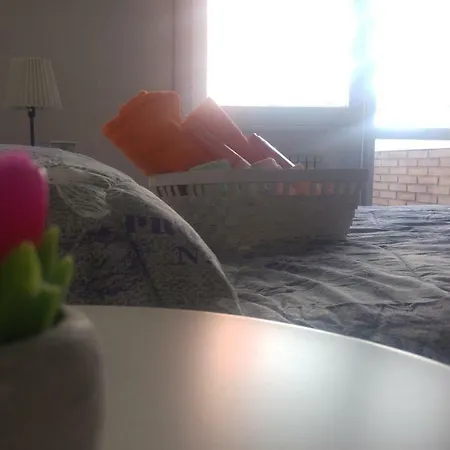 Gæstehus New Life